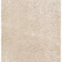 Ковер Sintelon Pleasure 01EWE