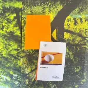 Спортивный линолеум Forbo Sportline 1070 Yellow — фото 1