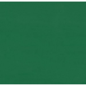 Спортивный линолеум Forbo Sportline 5030 Green