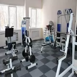 Спортивные покрытия